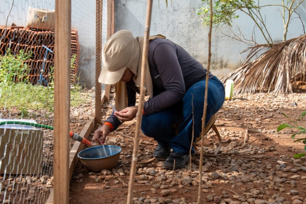 Sexta tem intensificação de ações para combater mosquito da dengue na Vila Operária