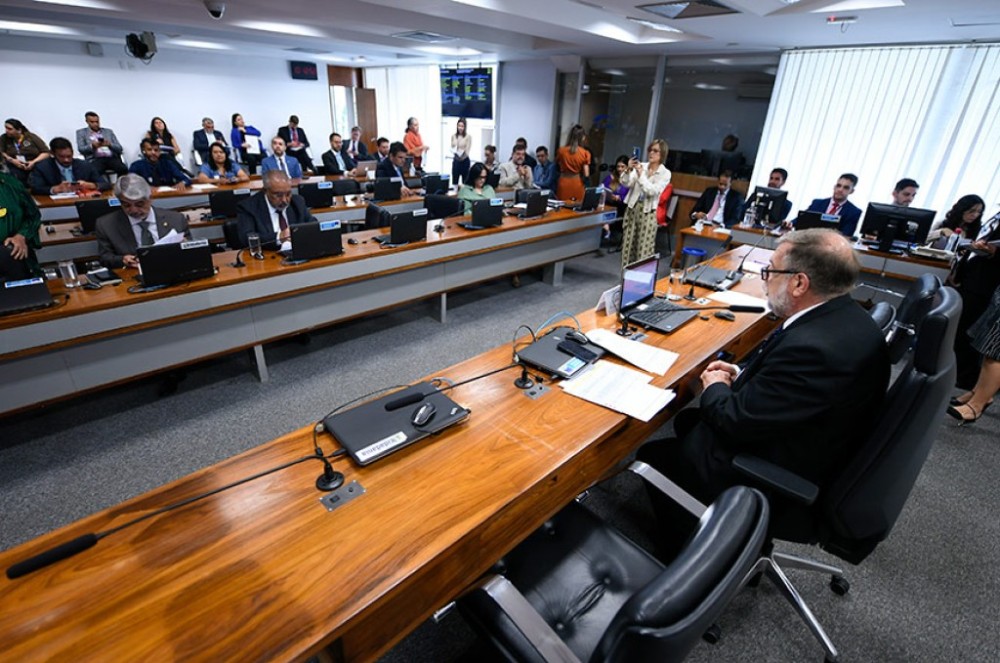 Comissão aprova Dezembro Verde para reflexão sobre o abandono de animais