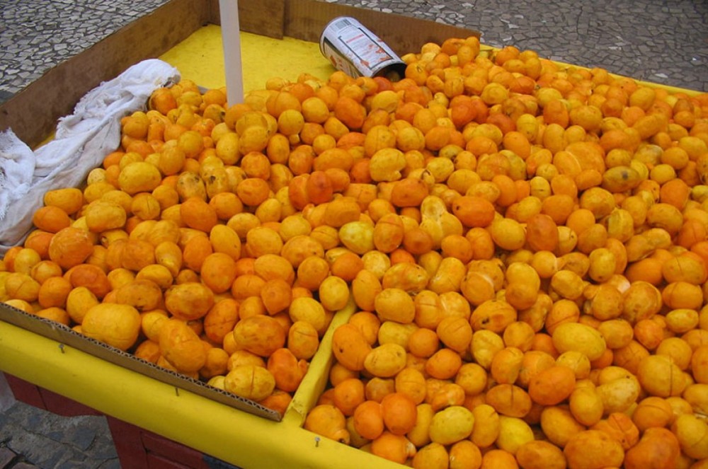 CMA aprova política para manejo do pequi