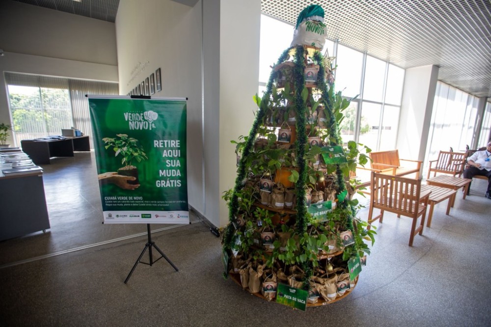 Projeto Verde Novo finaliza 2023 com mais de 196 mil mudas plantadas