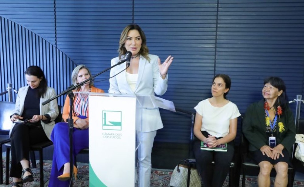 Frente parlamentar vai trabalhar com ministério pela saúde da mulher