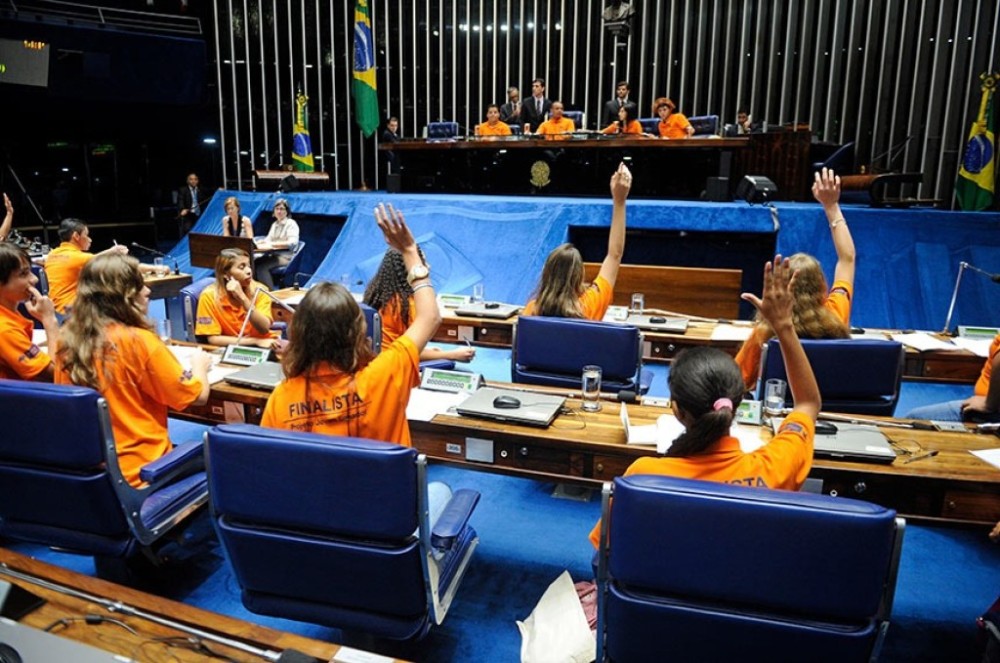 Plenário e CDH aprovam projetos sugeridos pelo Programa Jovem Senador