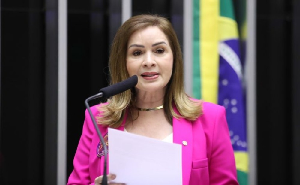 Justiça climática e combate ao negacionismo serão focos da próxima Virada Parlamentar Sustentável