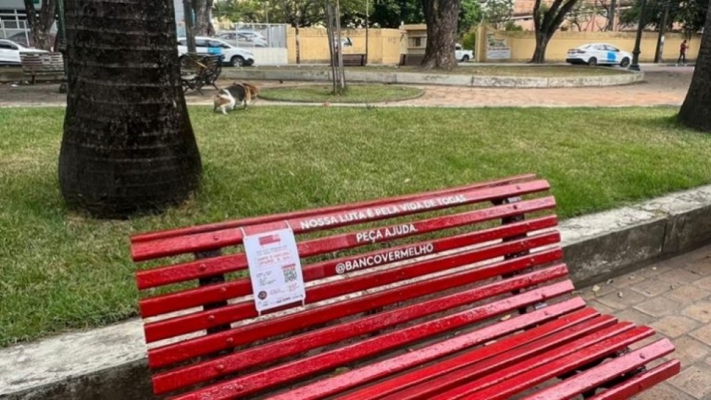 Comissão debate proposta de ação para conscientização sobre violência contra a mulher