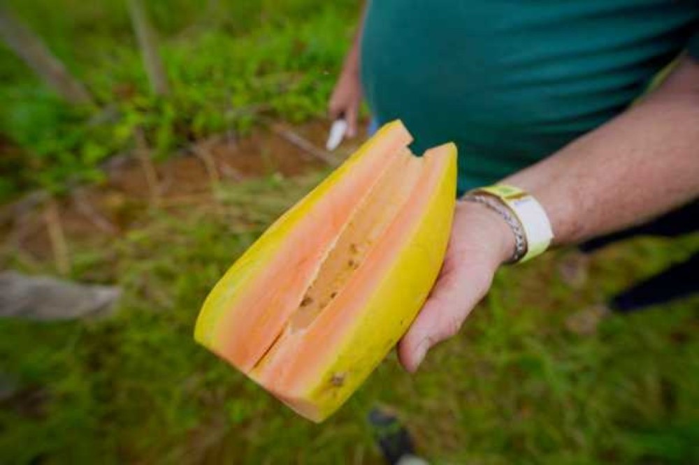 Prefeitura reforça compromisso com agricultura familiar em visita à comunidade rural