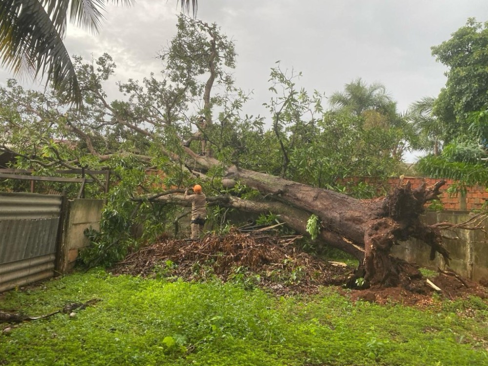 Corpo de Bombeiros atende ocorrências após forte chuva em Jaciara