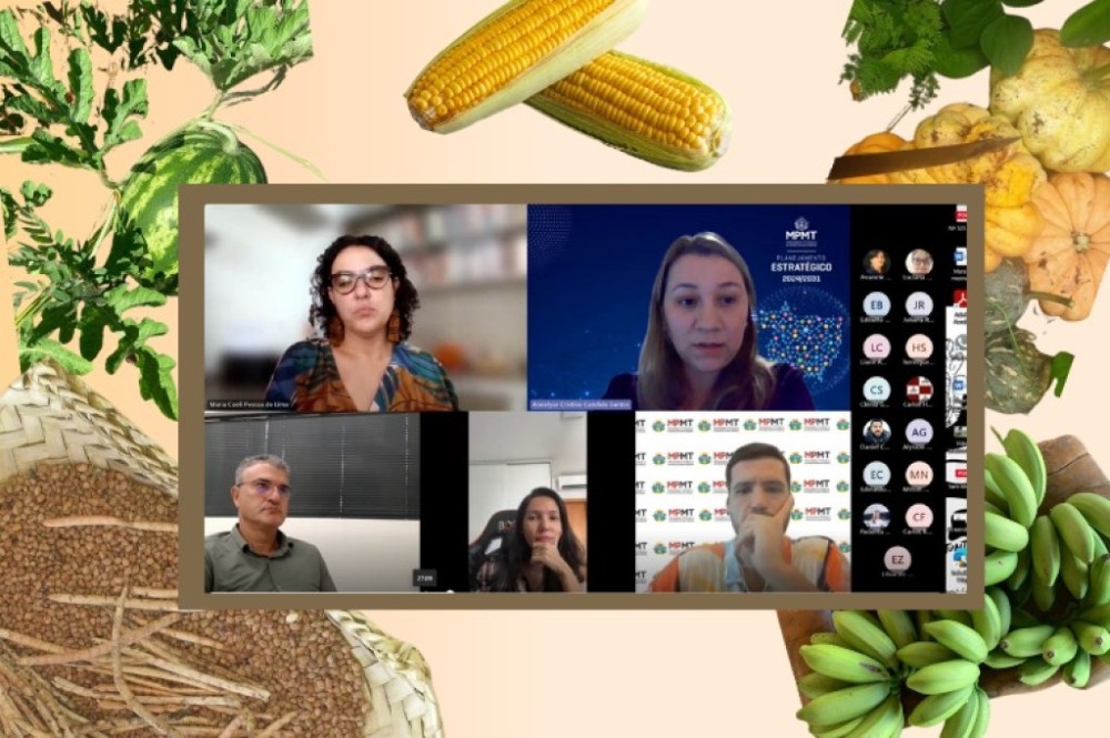Projeto busca garantir política de segurança alimentar nos municípios