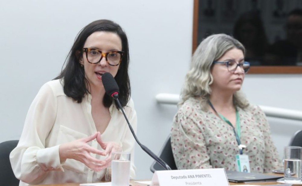 Ana Pimentel é eleita presidente da Comissão da Mulher