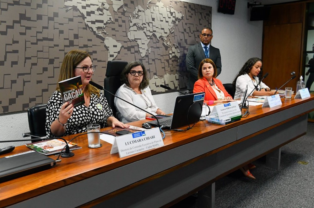 Políticas públicas para mulheres rurais precisam avançar, dizem debatedoras