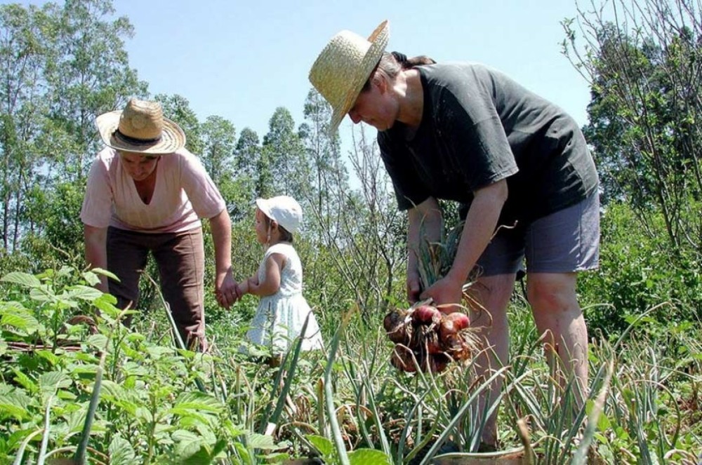 Lula sanciona lei que amplia Política Nacional da Agricultura Familiar