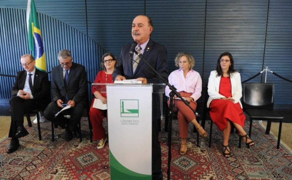 Rede de frentes sobre primeira infância quer buscar mais recursos orçamentários para políticas públicas