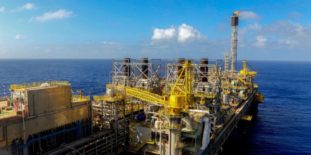 Petrobras busca proteger a fauna e flora na margem equatorial