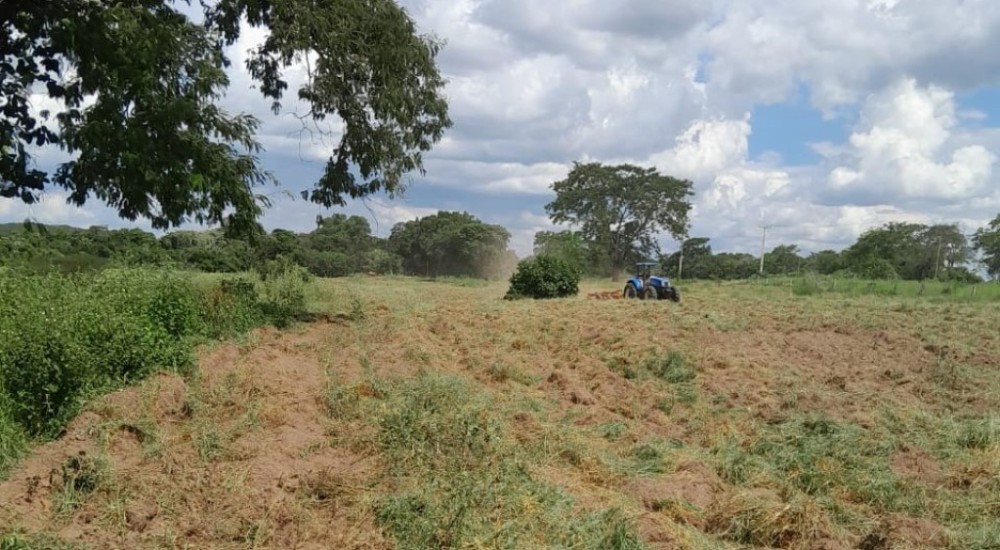 Prefeitura cria programa de incentivo para atender pequenos produtores rurais