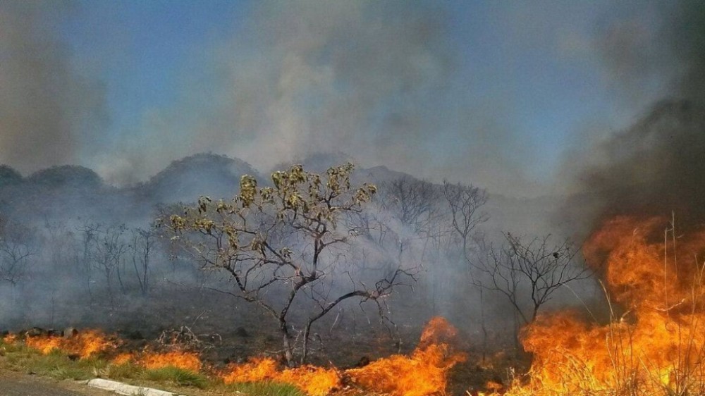 Roraima concentra 40% dos focos de incêndio do país em 2024