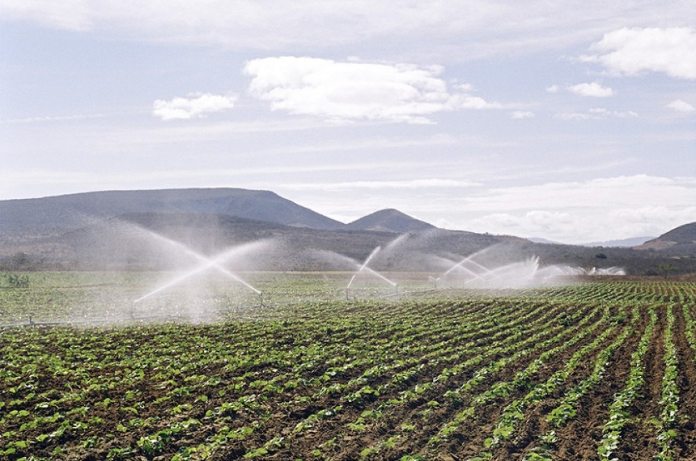 Sancionada a criação do Dia Nacional da Agricultura Irrigada
