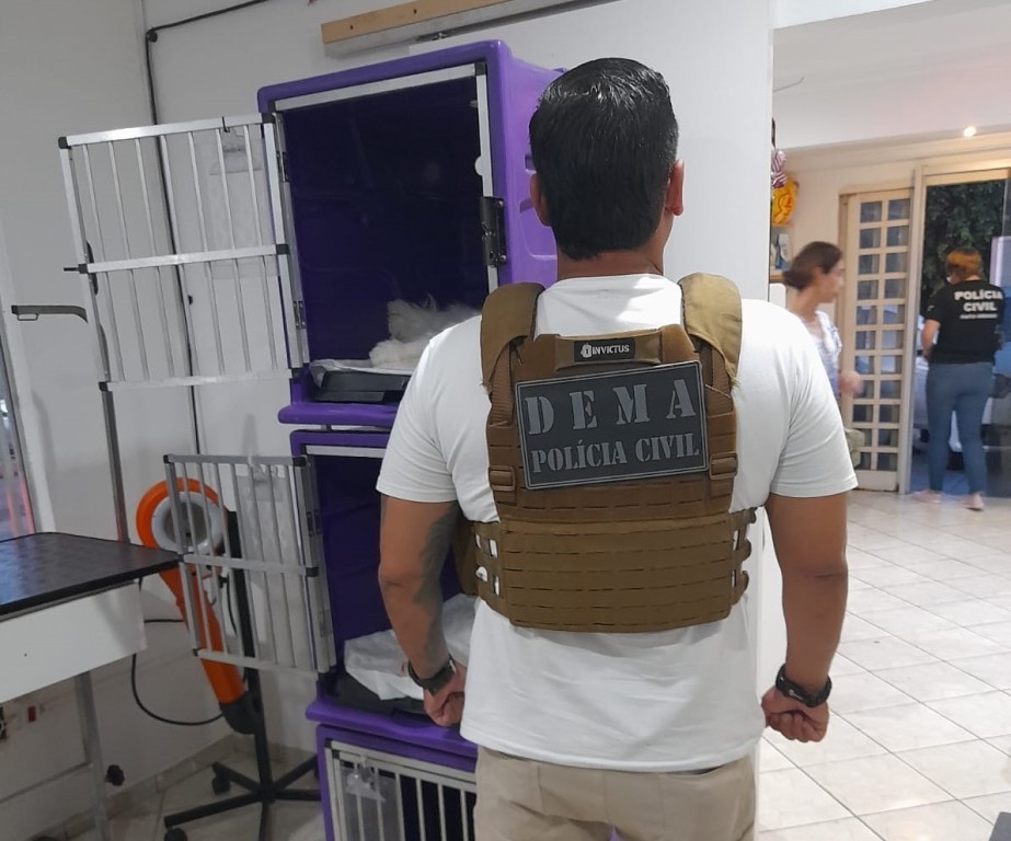 Polícia Civil investiga morte de cadelas esquecidas dentro de veículo de petshop na capital