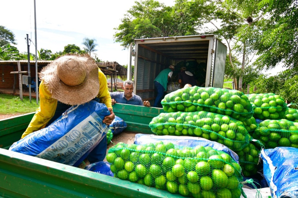 Prefeitura de Cuiabá auxilia no transporte de alimentos doados para o programa Mesa Brasil