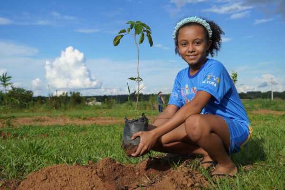 Museu Histórico inicia Reflorestamento da Área Verde do antigo 9º BEC