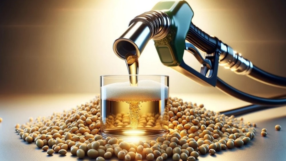 PIB da soja e do biodiesel cresceu e impulsionou cadeia produtiva em 2023, mas renda real caiu, segundo o Cepea