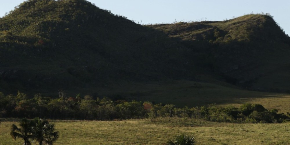 Territórios quilombolas são as áreas menos desmatadas do país