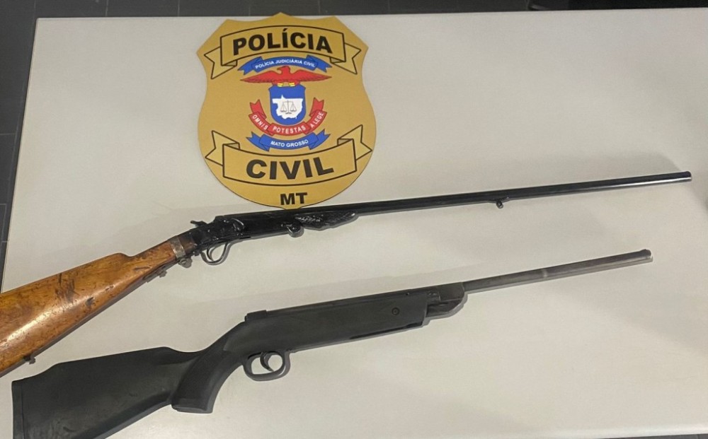 Polícia Civil apreende armas de fogo com homem investigado por violência doméstica contra enteada