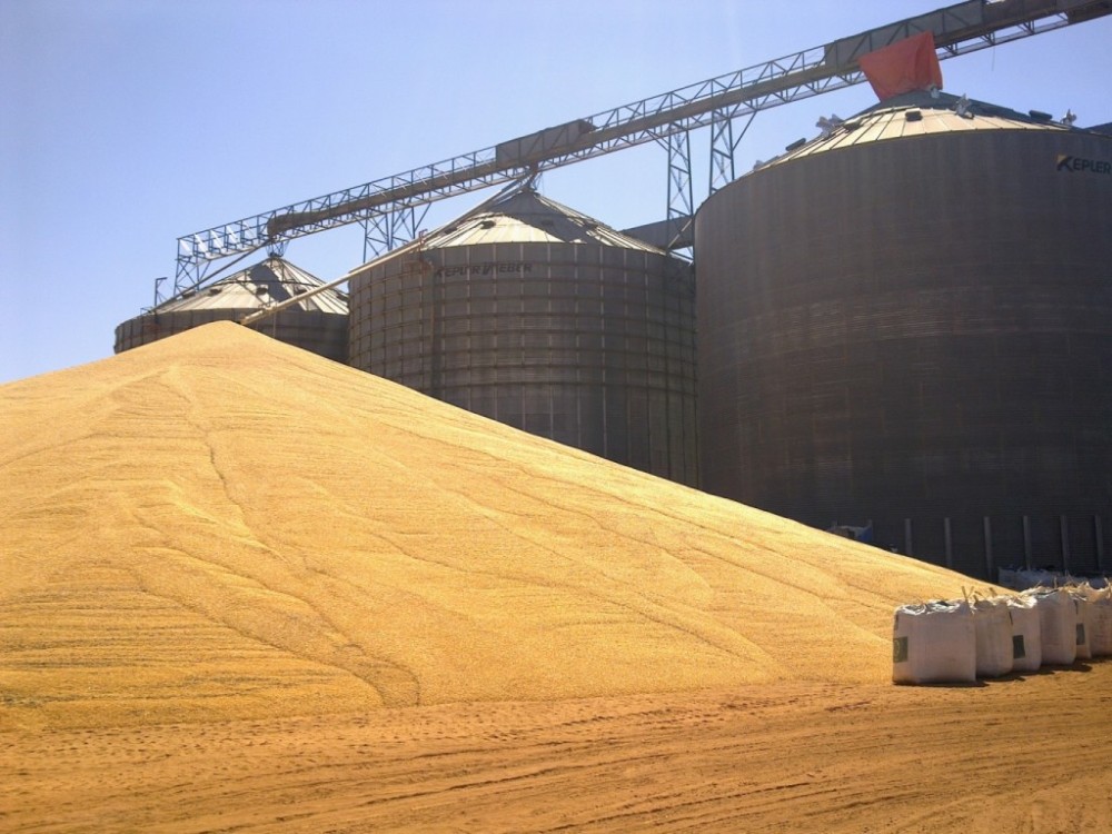Lideranças rurais dizem que reduzir umidade da soja em 1% trará R$ 6 bi de prejuízos aos produtores