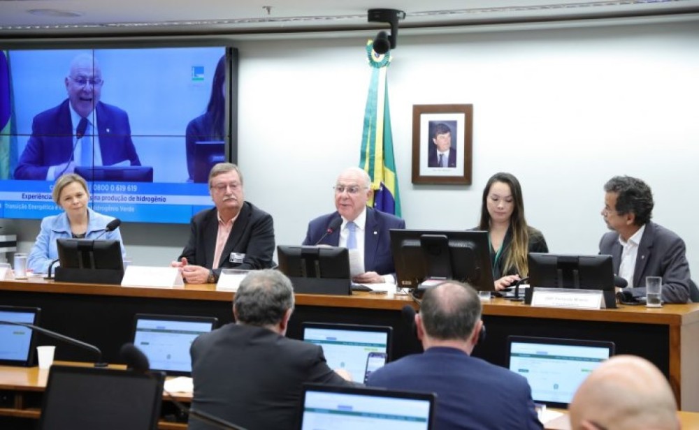 Comitê da União Europeia apoia ações contra desmatamento ilegal no Brasil
