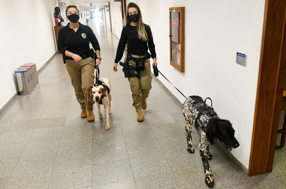 CSP vota porte de arma para policiais legislativos dos estados
