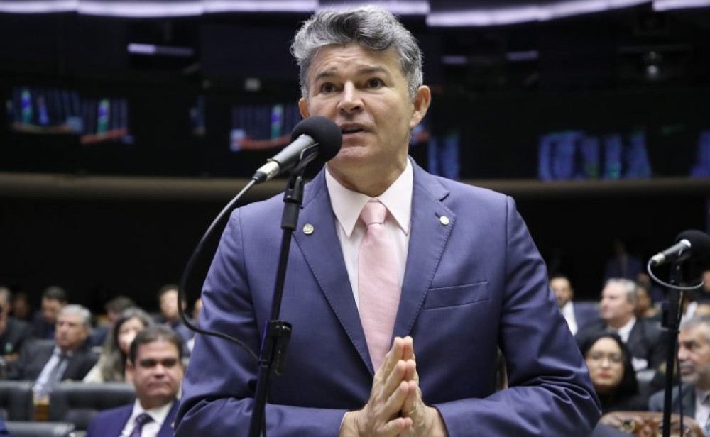 Comissão aprova criação de programa de proteção de felinos silvestres