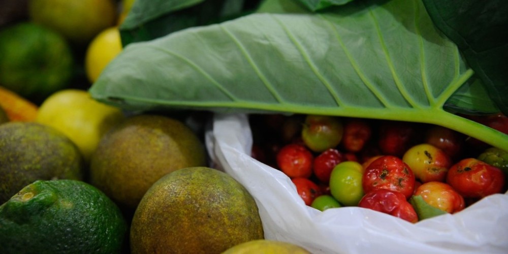 Registro de novos agrotóxicos segue em alta no Brasil