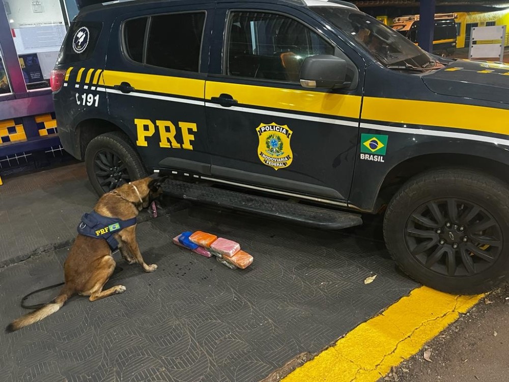 Apreensão de Drogas em Fiscalização de Ônibus: Operação da PRF em Rondonópolis/MT