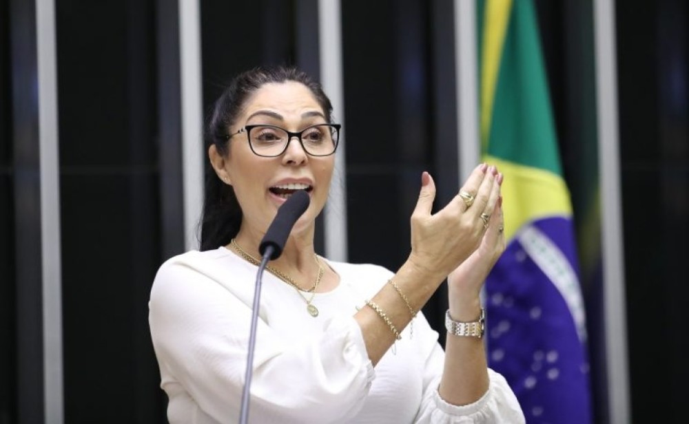 Câmara aprova política de tratamento humanizado a gestante que perder bebê