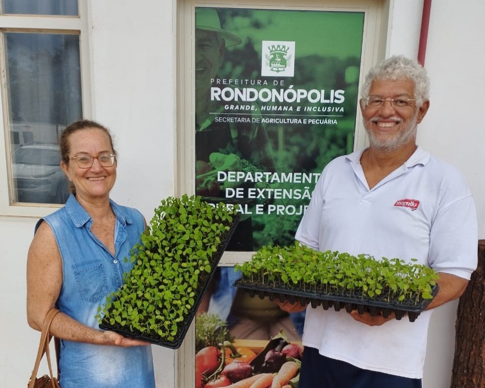 Prefeitura inicia entrega de 5 mil mudas para pequenos produtores