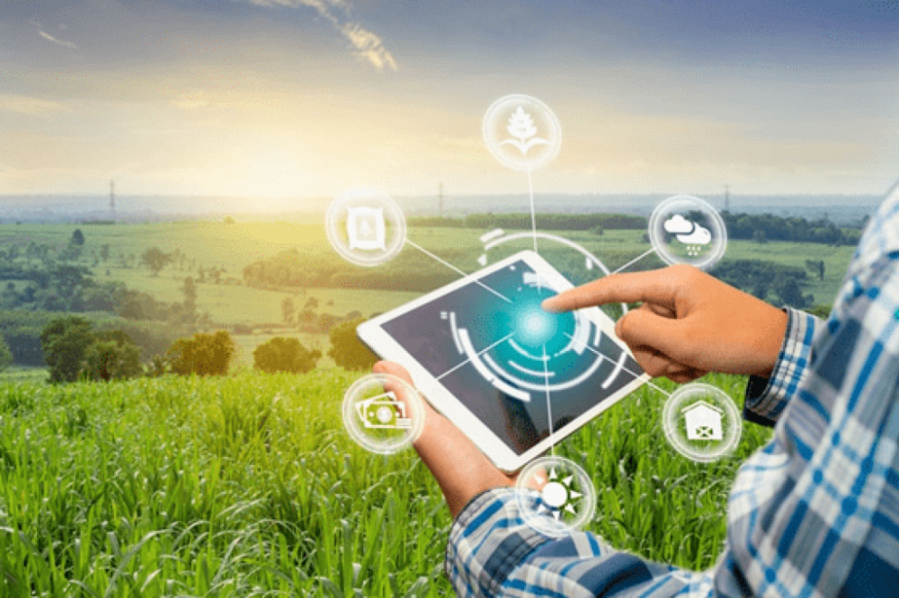 Levantamento mostra que acesso precário à internet limita o potencial do campo