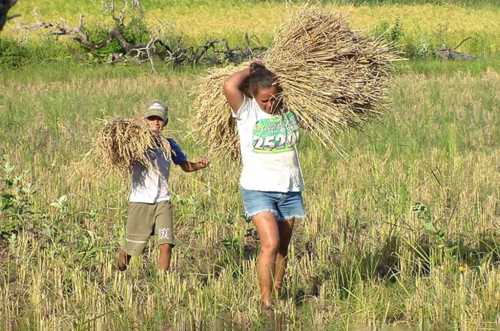 CRA analisa incentivo à produção de biocombustíveis da agricultura familiar