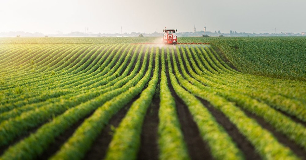 Minas Gerais e Mato Grosso unem forças para impulsionar o agronegócio brasileiro
