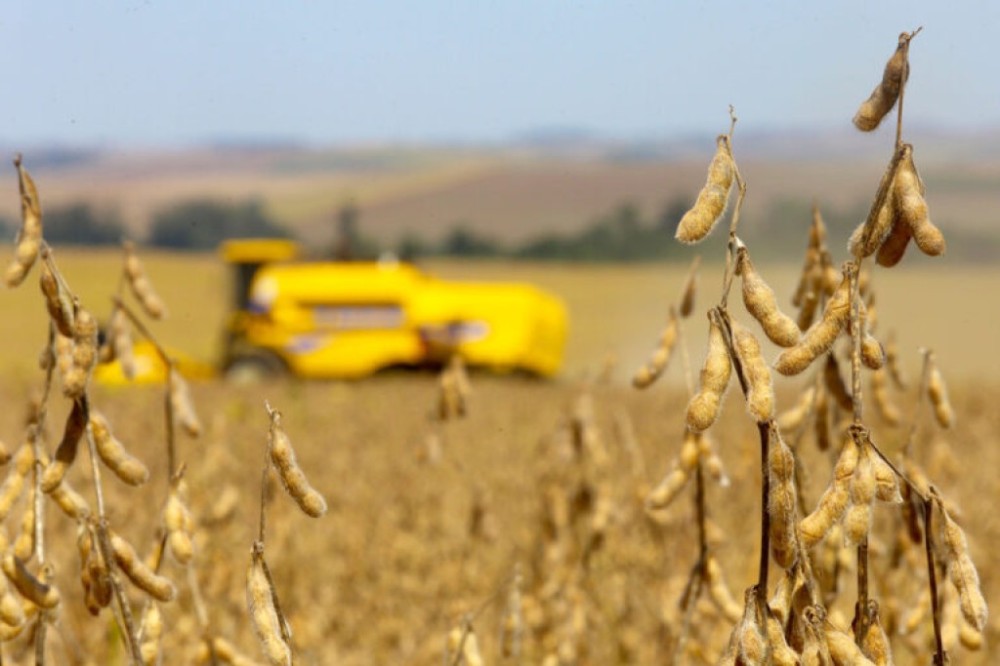 Comissão de Agricultura discute a Moratória da Soja