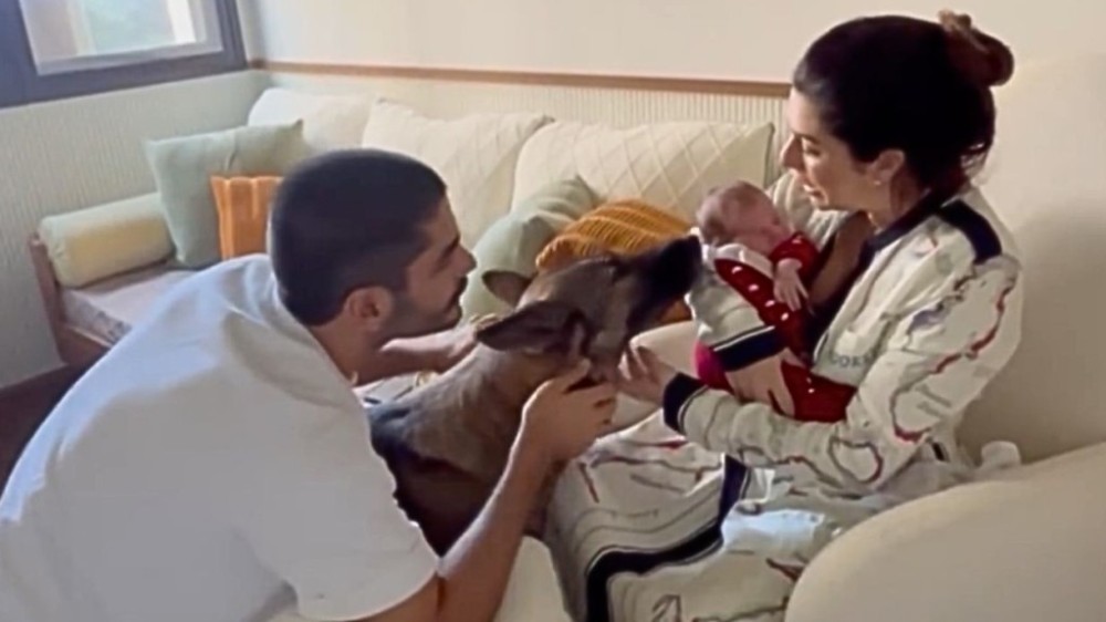 Fe Paes Leme apresenta filha ao cão da família; ‘Saiba como foi o primeiro encontro’