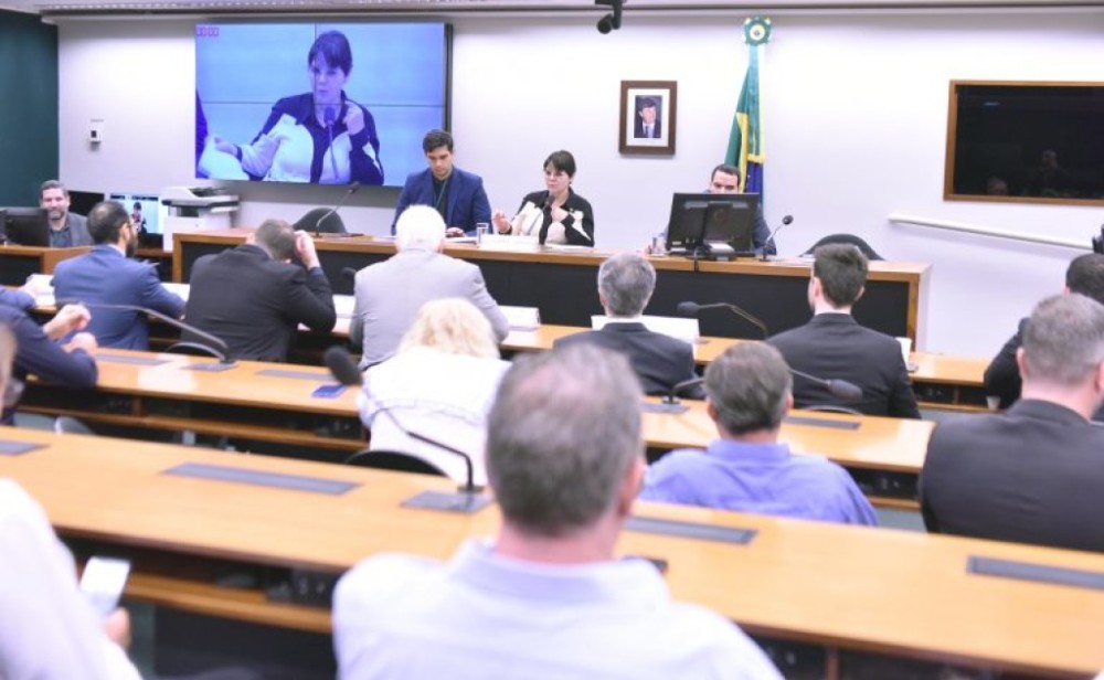 Deputada busca acordo entre produtores e exportadores em torno da moratória da soja