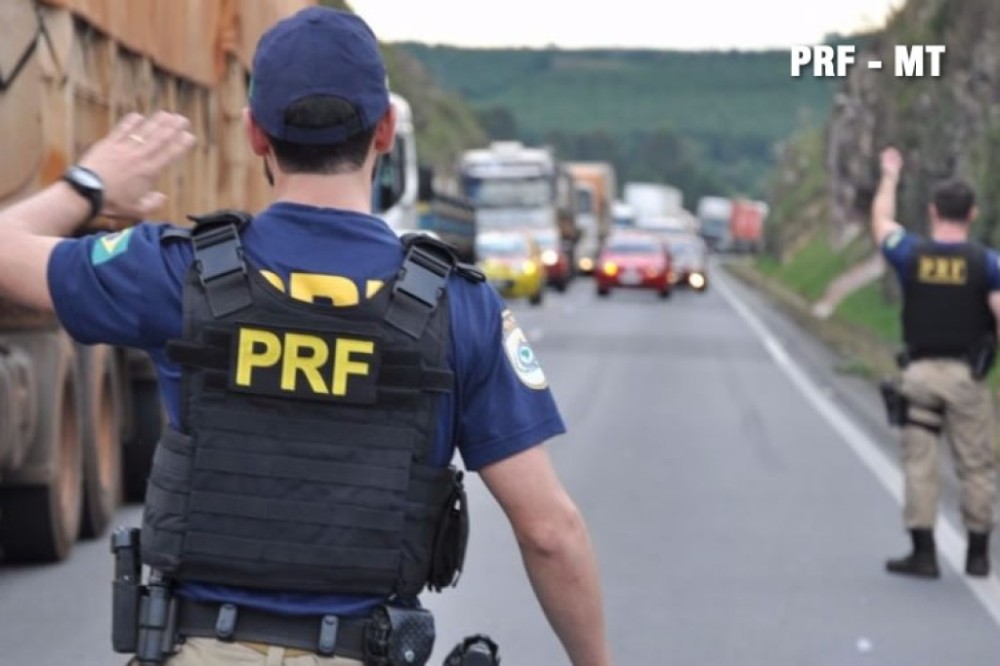 PRF apreende 146 m³ de madeira irregular neste final de semana