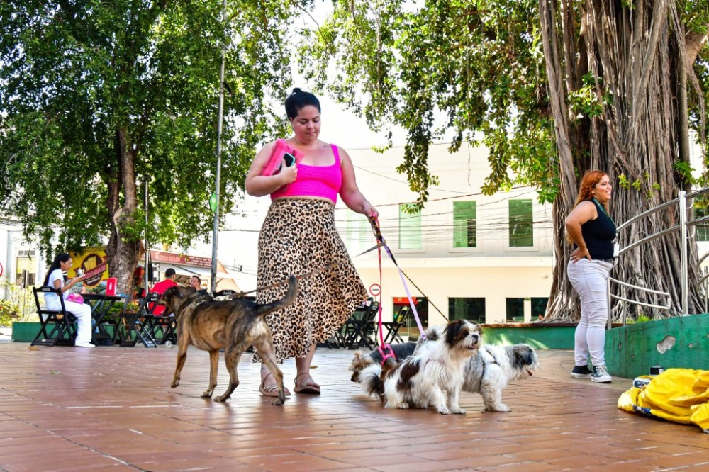 Programação da Campanha Abril Laranja atrai moradores de diversos bairros em busca de vacinação, castração e conhecimento