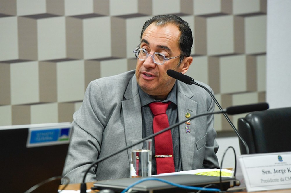 Subcomissão que analisa ativos ambientais vota plano de trabalho