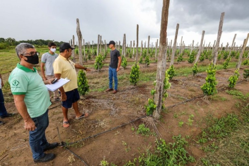 Comissão debate a Política Nacional de Assistência Técnica e Extensão Rural