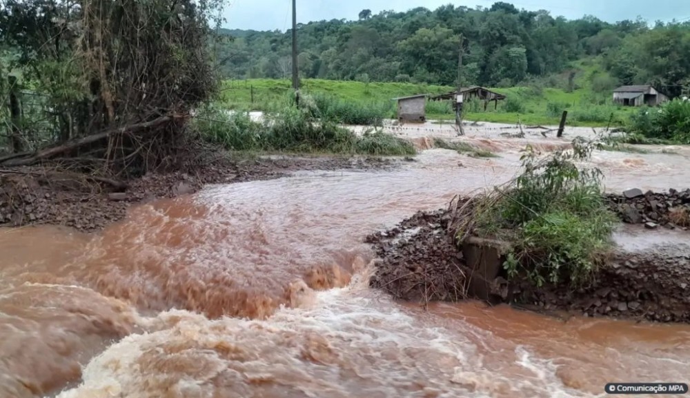 CNM avalia que prejuízos do agronegócio no Rio Grande do Sul somam R$ 570 milhões