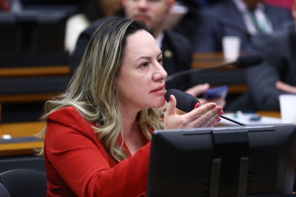 Comissão aprova criação de Patrulha Nacional para combater violência doméstica contra crianças