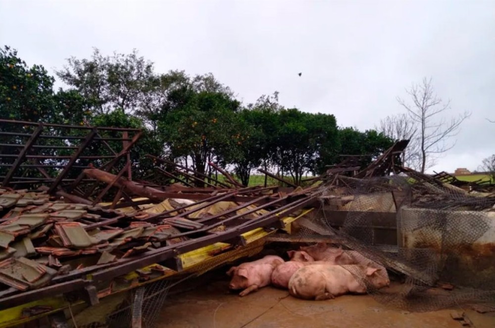 Projeto impede penhora de pequena propriedade afetada por calamidade
