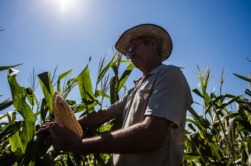 CRA pode votar incentivo para agricultores familiares produzirem biocombustíveis