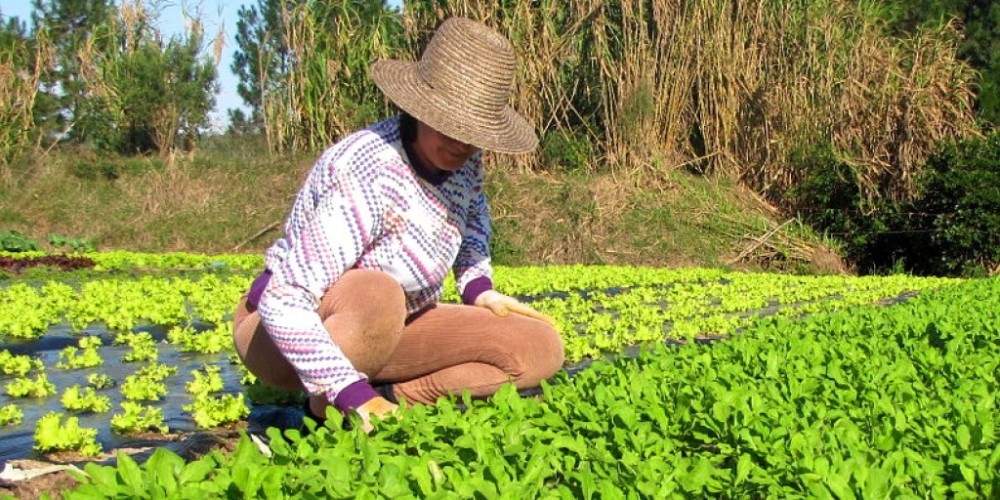Mulheres do Campo participam de Ciranda e Círculo de Construção de Paz