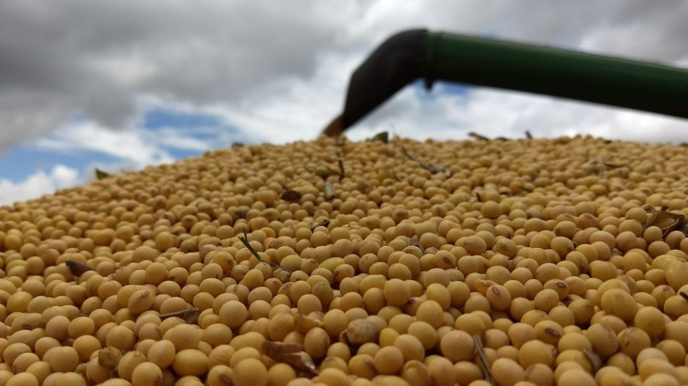 Sem dados do Rio Grande do Sul, Conab prevê “crescimento” da safra nacional de grãos