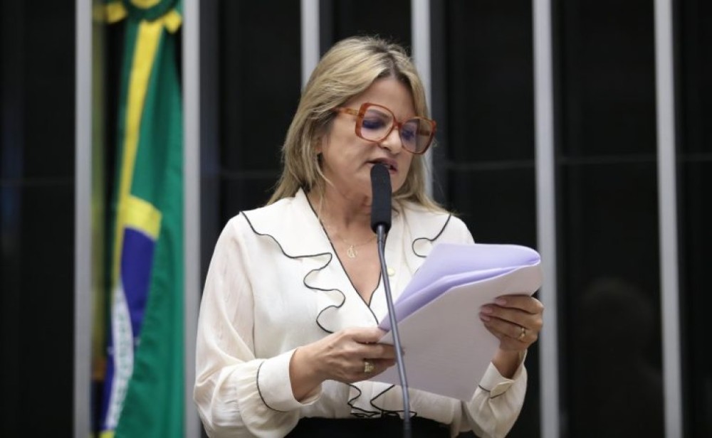 Comissão aprova inclusão de capacitação de servidores públicos como diretriz da Lei Maria da Penha